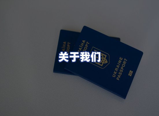 专业团队
